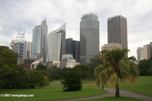 Im Stadtzentrum gelegenes Sydney, wie von einem Park gesehen