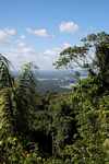 Brownsberg rainforest [suriname_0430]