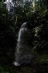 Waterfall [suriname_1516]