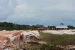 Sand mining in the white sands forest of Suriname [suriname_1594]