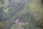 Aerial view of shifting cultivation in the rainforest