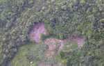 Aerial view of subsistence forest clearing