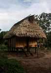 Mark Plotkin's house in Kwamala