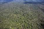 Forest seen by airplane [suriname_2678]