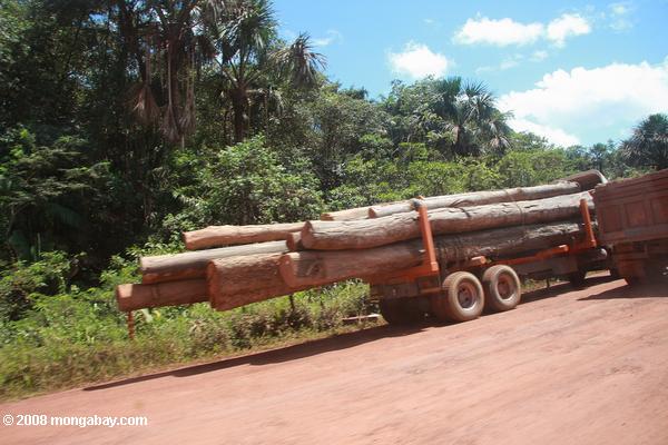 Logs on the back of a truck, Suriname