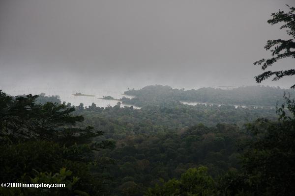 la lluvia se desplazan en más de dosel de la selva