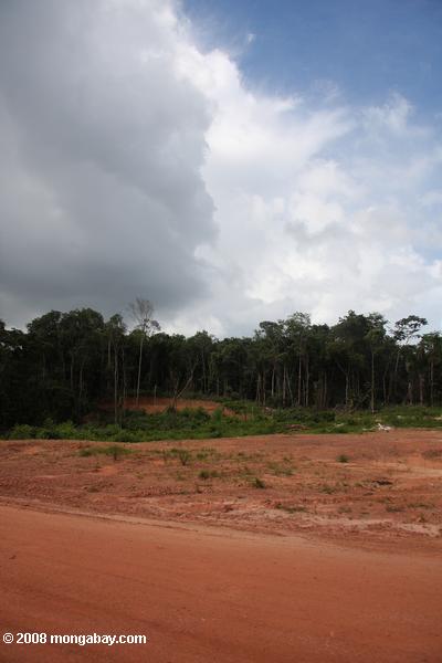 bauxita zona mineira no Suriname