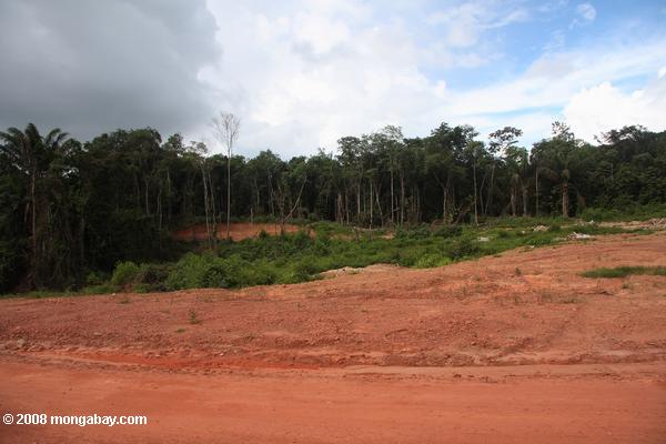 Zone d'exploitation minière de bauxite au Suriname