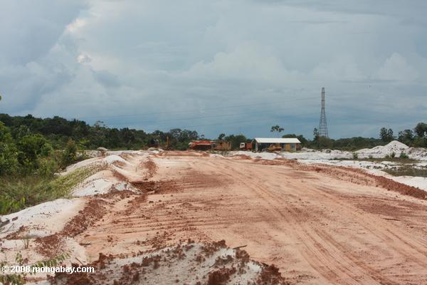areias brancas areias mineiras na floresta do Suriname