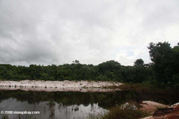 スリナムの熱帯雨林では、白い砂浚渫プール