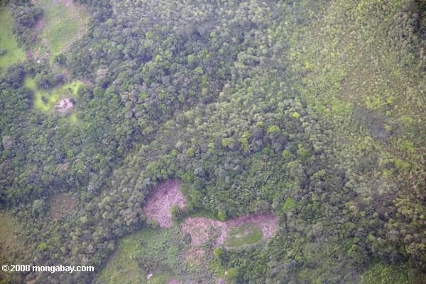 Аэрофотоснимок с переходом земель в тропических лесах