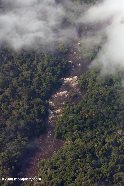 リモートの熱帯雨林の川沿いの急流