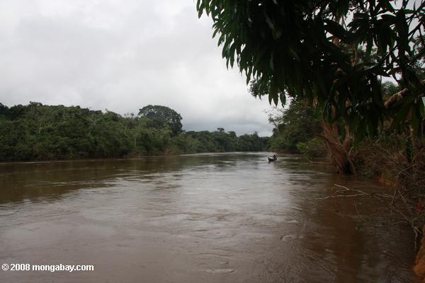 kwamala río en la etapa de inundación