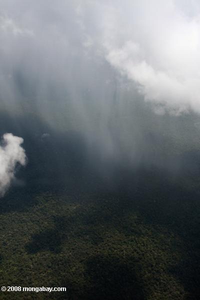アマゾンの熱帯雨林以上の降雨