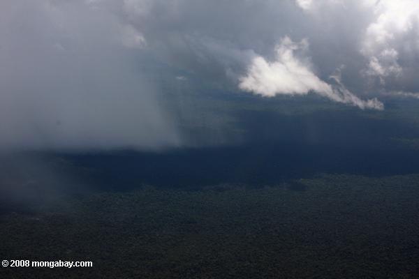 アマゾンの熱帯雨林で雷雨