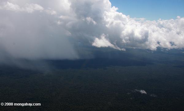 アマゾンの熱帯雨林で雷雨