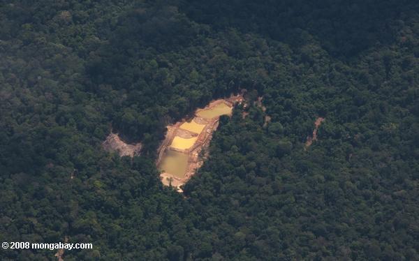 золотодобывающих шахт в центре тропического леса