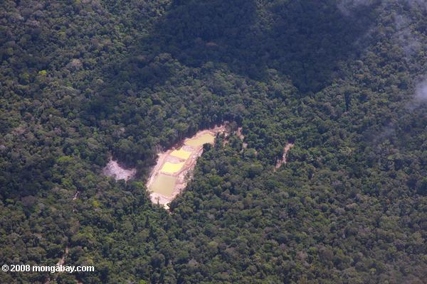 アマゾンの熱帯雨林の真ん中に金の採掘坑