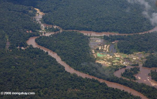 золотодобычи операции в тропических лесах Амазонки