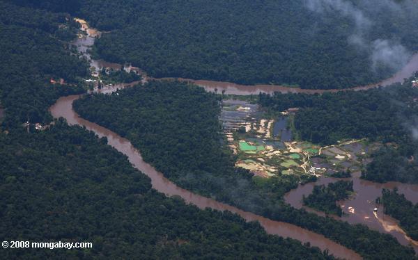 アマゾンの熱帯雨林の金採掘作業