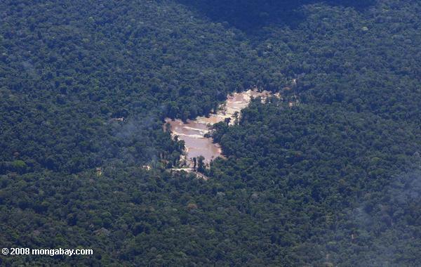 золотодобычи операции в тропических лесах Амазонки