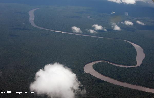 熱帯雨林の川飛行機から見た