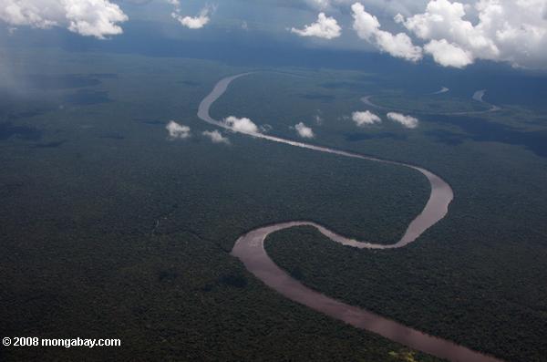 тропических лесов реки видно из плоскости