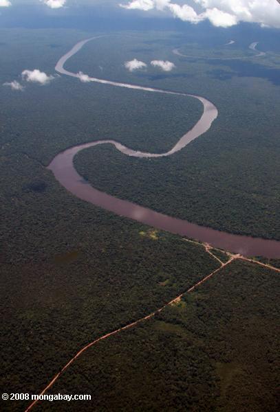 estrada interseção um rio no Suriname