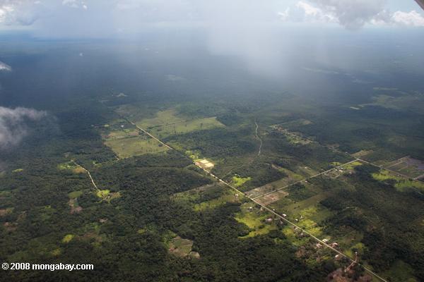 Établissements et des forêts fragmentées dans la périphérie rurale de Paramaribo (Suriname côtières)