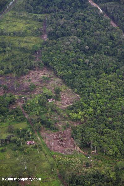 поселениях и фрагментированные леса в сельских окрестностях Парамарибо (Суринам прибрежные)