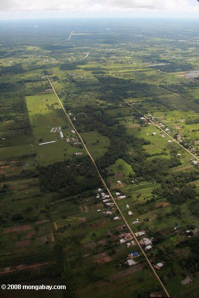 поселениях и фрагментированные леса в сельских окрестностях Парамарибо (Суринам прибрежные)