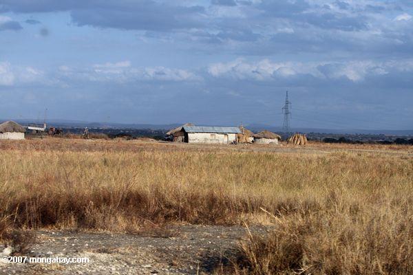 Massai manyatta mit Wellblech gedeckte Hütte