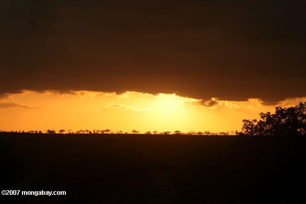 Sunset en Tarangire