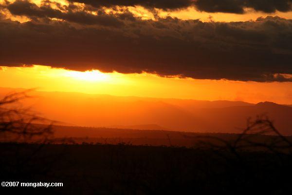 Закат над Тарангире национальный парк