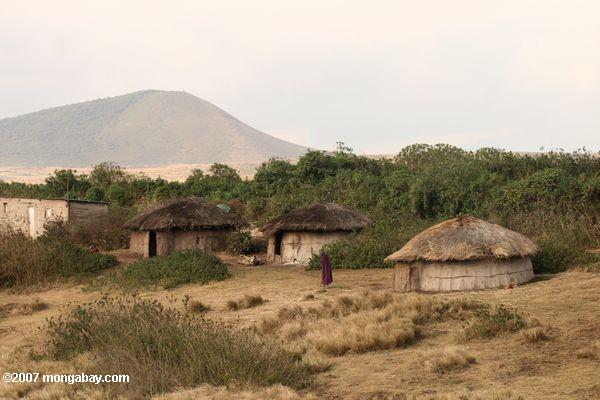 масаи manyatta в области сохранения ngorongoro