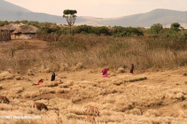 масаи мужчины в красочных одеждах