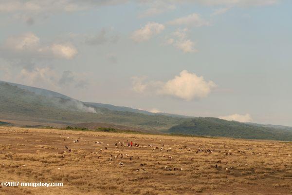 масаи пастухов