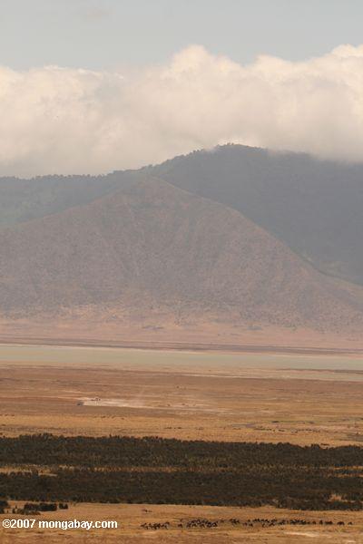 Ngorongoro Krater - die dunkle Fläche ist die Vegetation entlang der Munge River