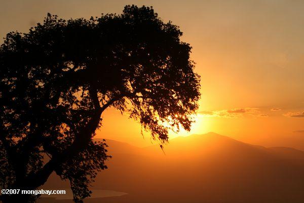 La puesta del sol sobre el cráter Ngorongoro, Lago Magadi en el fondo