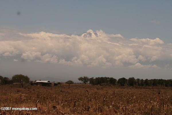 Mount Kilimanjaro peeking a través de las nubes