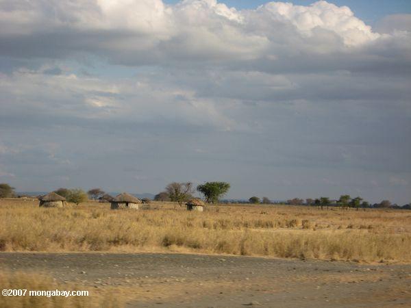 масаи деревне