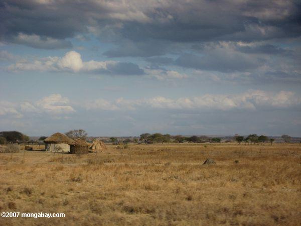 Maasai Siedlung