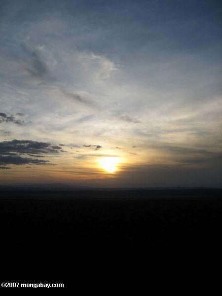 Закат над Тарангире национальный парк