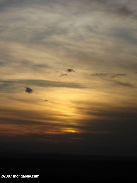 tarangire国立公園の夕日