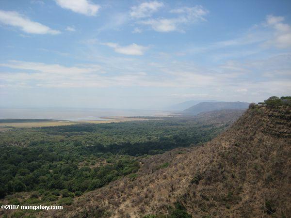 Rift Valley Böschung mit dem Wald von Lake Manyara National Park unten