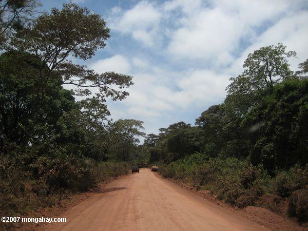 Escarpement de la vallée du Rift avec la forêt du Parc national du Lac Manyara ci-dessous