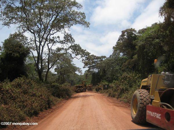 未舗装の道路は、ンゴロンゴロクレーターにつながる