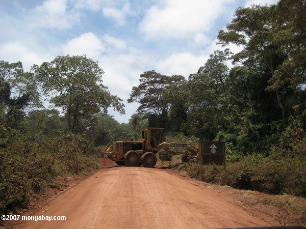Baumaschinen auf einer afrikanischen Straße