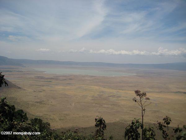 ngorongoro кратер с озером magadi, как видно из выше