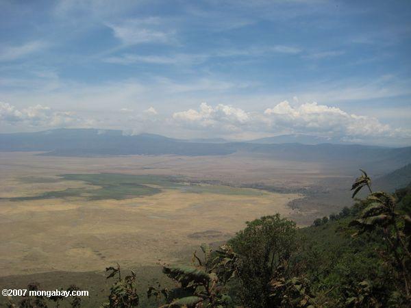 Vista aérea del cráter Ngorongoro